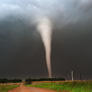Free Emergency Action Plan