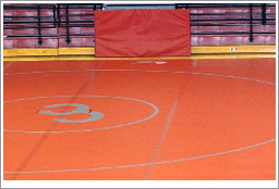 Wrestling Mat