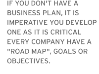 Business plans are critical