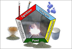 Combustible Dust Pentagon