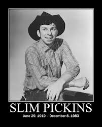 Slim Pickins