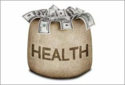 health money bag