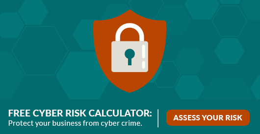 Cyber Risk Calculator