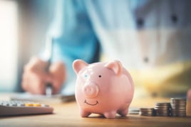 HSA Piggy Bank
