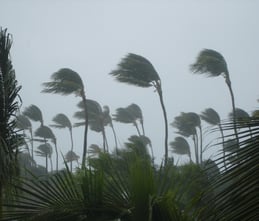iStock-476447890.jpg