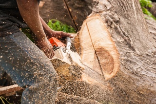 Contractor cutting log